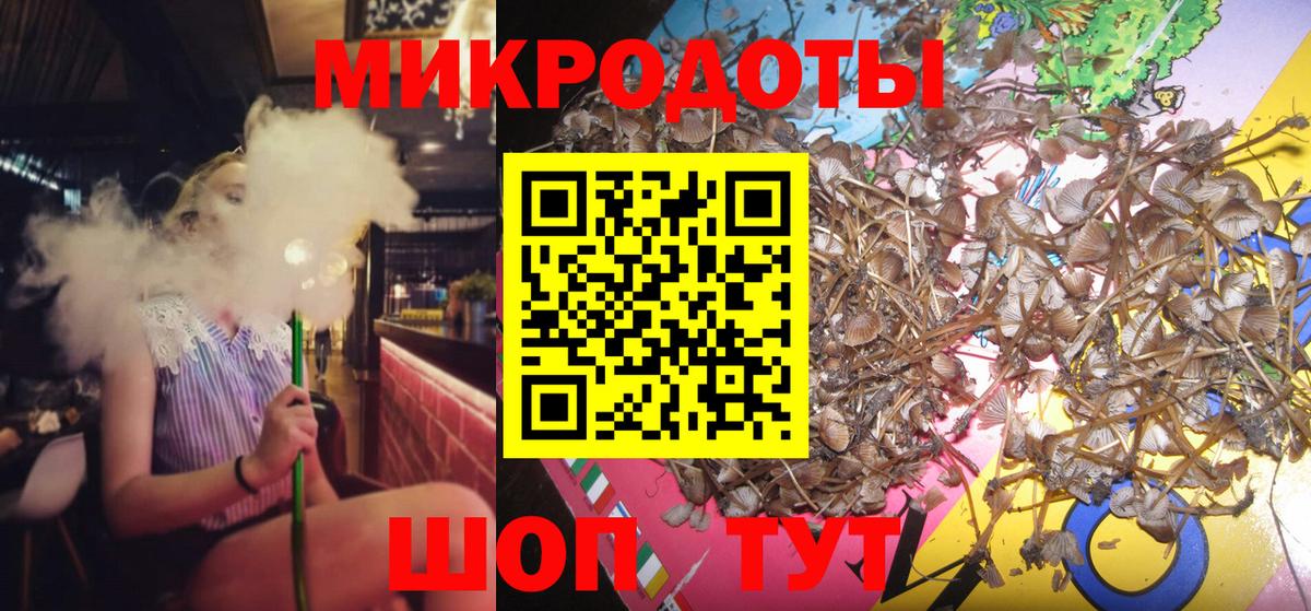Псилоцибиновые грибы Psilocybine cubensis Великие Луки
